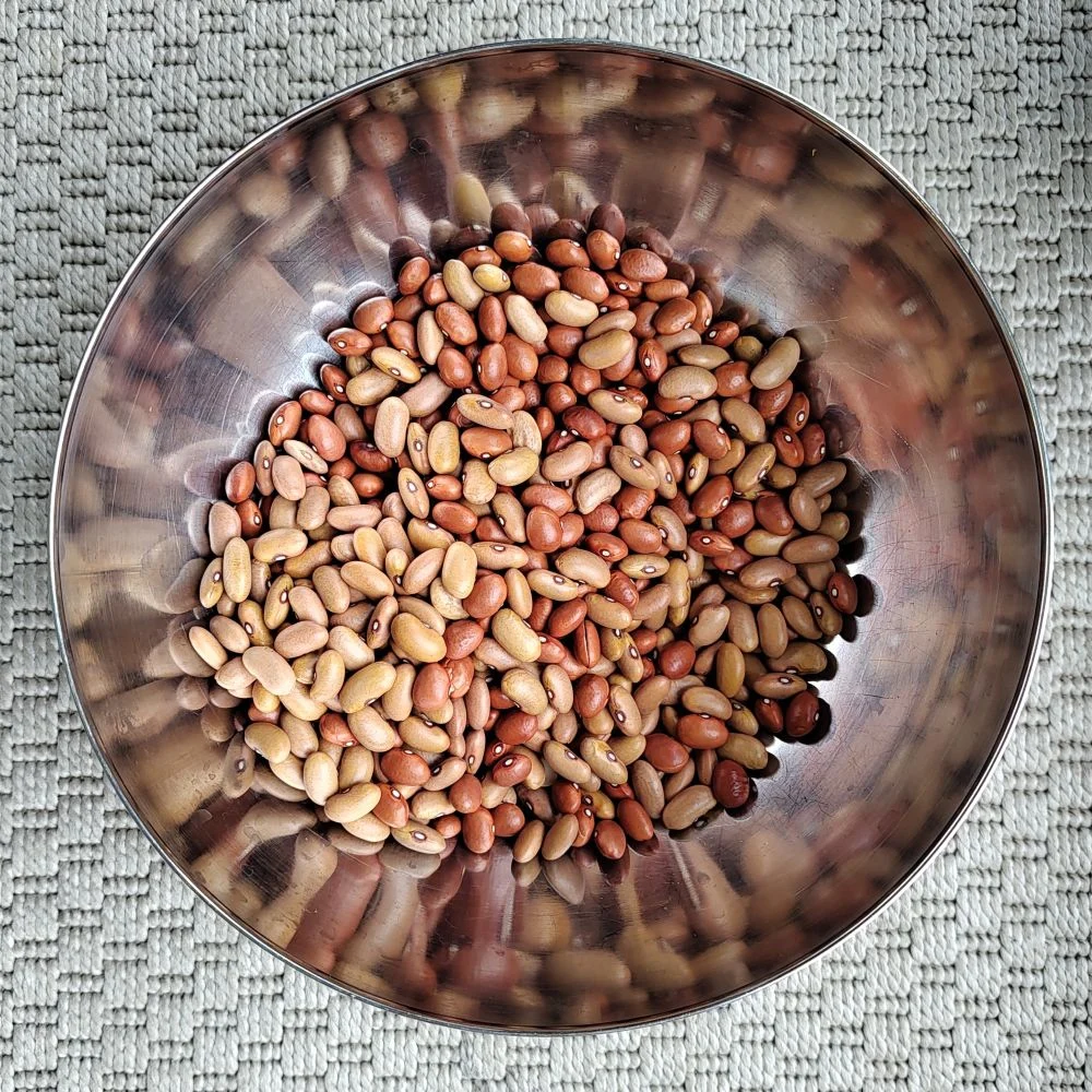 The Forgotten Heirloom: Unearthing the Story of the Giele Wâltbeantsje