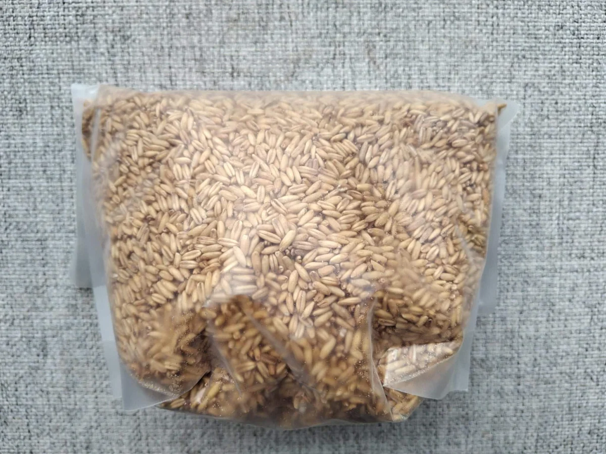 The Unsung Hero of the Grain Aisle: Why ‘Naked Oats’ Are Poised to Revolutionize Sustainable Dining